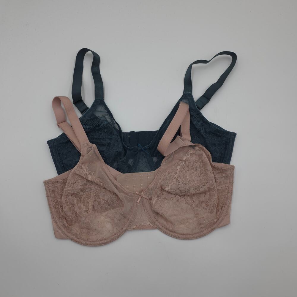 HSIA Bundle of Two Enchante Unlined Lace Underwire Bra Pink Balsam Blue 34DDD